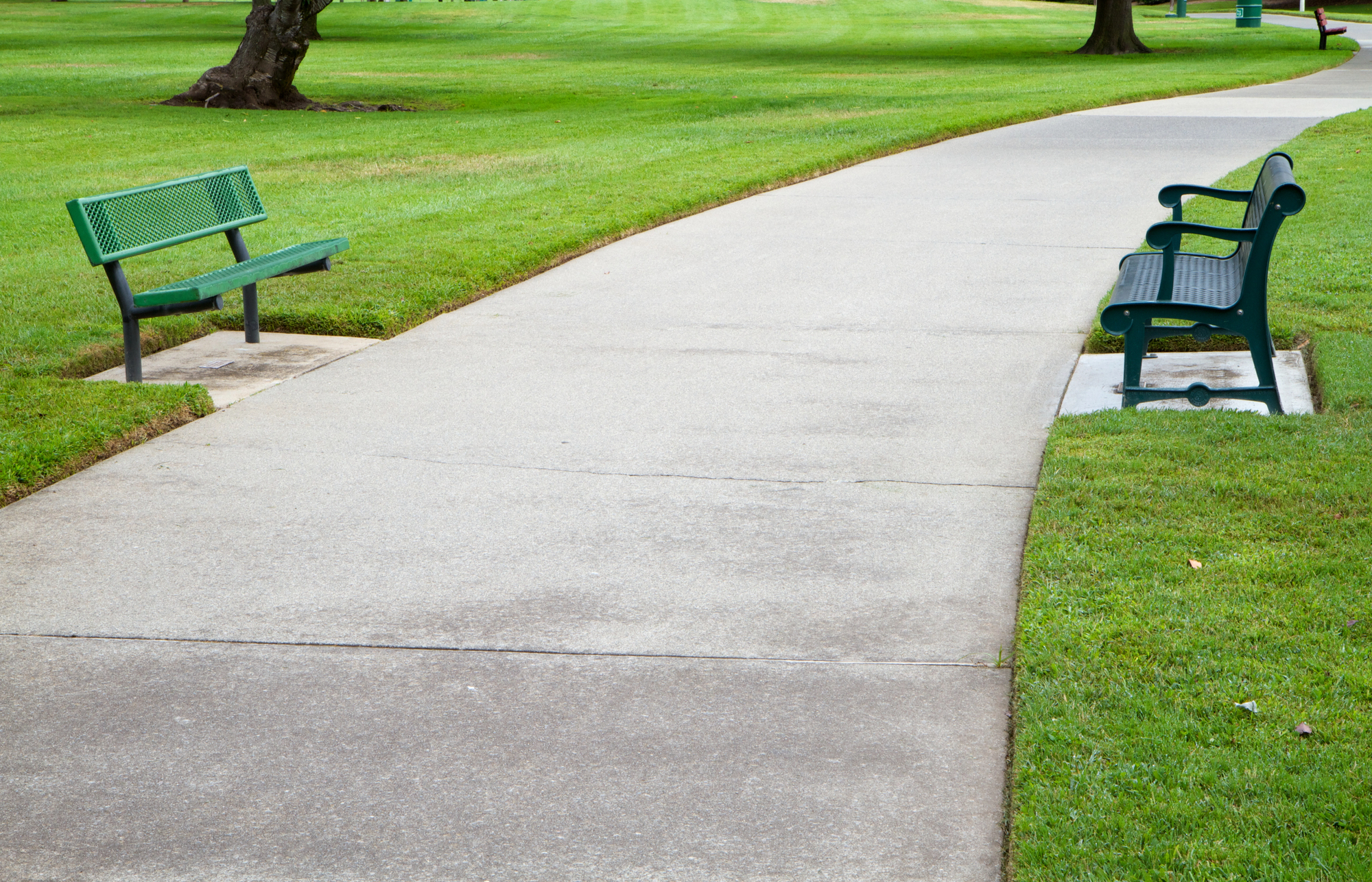 A winding concrete path with two green benches in a lush green park